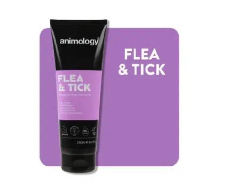 Animology Flea and Tick Dog Shampoo 250ML – PetMedicine.co