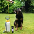 Buy Animology Flea and Tick Puppy Shampoo Online at PetMedicine.co