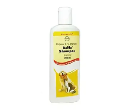 Bayer Bolfo Tick & Flea Shampoo for Dogs and Cats – PetMedicine.co