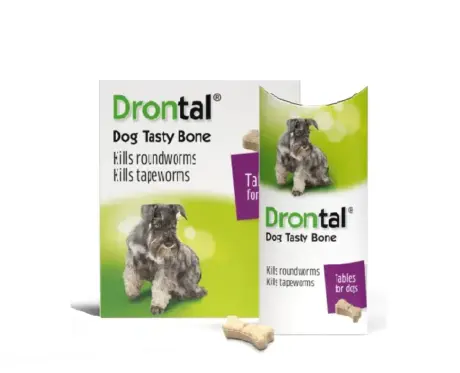 Drontal Plus Tasty Dog Deworming Tablet at Petmedicine.co