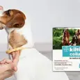 Tick and Flea Prevention Dog Collar by Bayer – PetMedicine.co