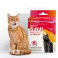 Beaphar Combotec Cat Flea & Tick Spot On 0.5ML – PetMedicine.co