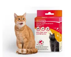 Beaphar Combotec Cat Flea & Tick Spot On 0.5ML – PetMedicine.co