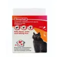 Trusted Flea and Tick Spot for Cats – Beaphar Combotec – PetMedicine.co