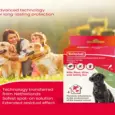 Shop Beaphar Combotec Large 20–40 KG Flea Treatment – PetMedicine.co