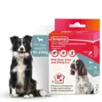 Beaphar Combotec Medium Spot On for Dogs 10-20 KG – PetMedicine.co
