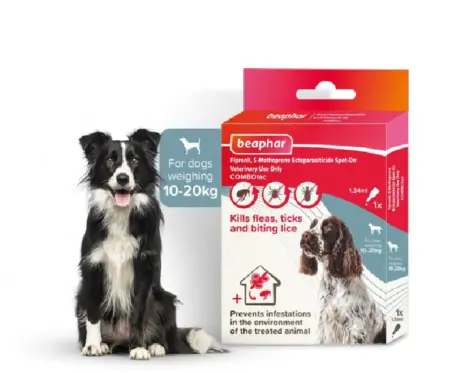Beaphar Combotec Medium Spot On for Dogs 10-20 KG – PetMedicine.co