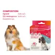 Buy Beaphar Combotec Medium for Dogs 10-20 KG Online – PetMedicine.co