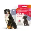 Beaphar Combotec XL Spot On for Large Dogs 40-60kg - PetMedicine.co