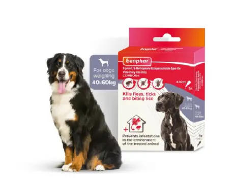 Beaphar Combotec XL Spot On for Large Dogs 40-60kg - PetMedicine.co