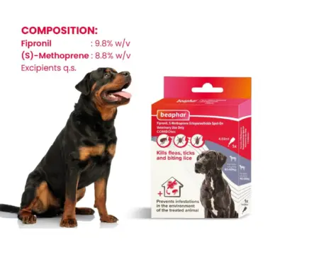 Beaphar Combotec XL Spot On for Large Dogs 40-60kg - PetMedicine.co