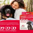 Buy Beaphar Combotec XL Flea and Tick Treatment - PetMedicine.co