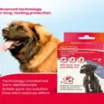 Buy Beaphar Combotec XL Flea and Tick Treatment - PetMedicine.co