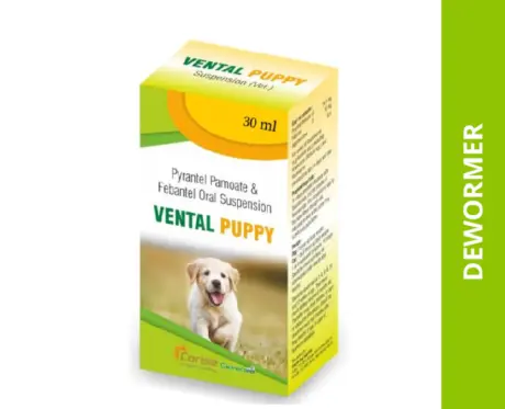 Corise Vental Puppy Dewormer 15ml for Puppies – PetMedicine.co