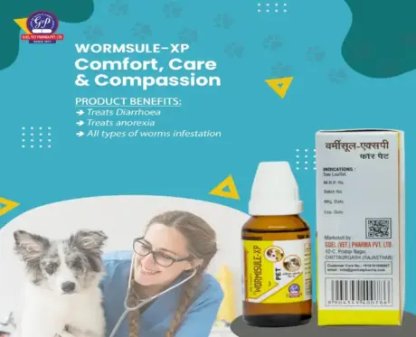 Dr Goel’s WORMISULE XP Natural Dewormer for Dogs 30ML – PetMedicine.co
