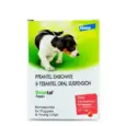 Drontal Puppy Deworming Oral Suspension 20ml for Dogs – PetMedicine.co