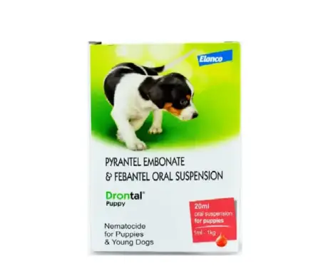 Drontal Puppy Deworming Oral Suspension 20ml for Dogs – PetMedicine.co