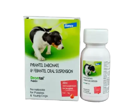 Drontal Puppy Deworming Oral Suspension 20ml for Dogs – PetMedicine.co