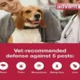3 Pipette Pack of Elanco Advantix Spot On - PetMedicine.co
