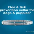 Flea and Tick Collar for Large Dogs Over 8kg – PetMedicine.co