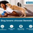 Elanco Seresto Collar Small for Dogs under 8kg - PetMedicine.co