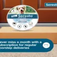 Buy Seresto Small Dog Collar Flea Tick Prevention - PetMedicine.co