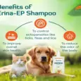 Himalaya Erina EP Tick & Flea Shampoo for Dogs and Cats 200ml – PetMedicine.co