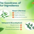 Buy Himalaya Erina EP Shampoo Online for Pets – PetMedicine.co