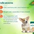 Herbal Cleanser with Conditioner for Pets - Himalaya Erina Plus - PetMedicine.co