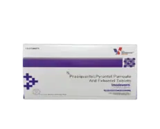 Invadeworm Deworming Tablet for Dogs 10 Tablets – PetMedicine.co