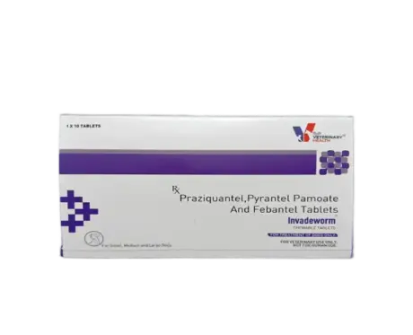Invadeworm Deworming Tablet for Dogs 10 Tablets – PetMedicine.co