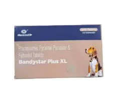 Mankind Bandystar Plus XL Deworming Tablets for Dogs 10 Pack | PetMedicine.co