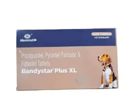 Mankind Bandystar Plus XL Deworming Tablets for Dogs 10 Pack | PetMedicine.co