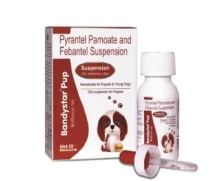 Mankind Bandystar Pup Deworming Suspension 20ml for Puppies – PetMedicine.co