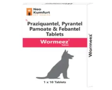 Neo Kumfurt Wormeez Dog Dewormer 10 Tablets – PetMedicine.co