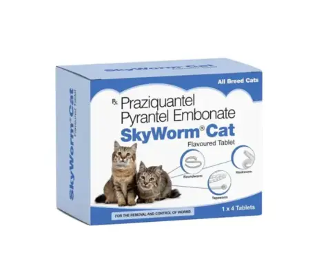 Skyec Skyworm Cat Deworming Tablet 4 Tablets – PetMedicine.co