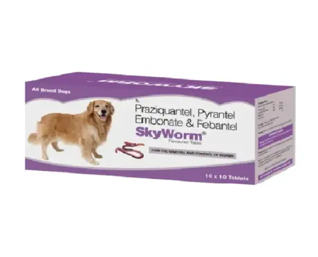 Skyec Skyworm Dog Deworming Tablet 10 Tablets – Buy at PetMedicine.co