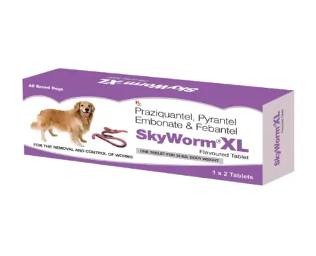 Skyec Skyworm XL Dog Deworming Tablet 2 Tablets for Adult Dogs – PetMedicine.co