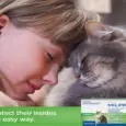 Virbac Milpro Dewormer for Kittens and Small Cats – PetMedicine.co