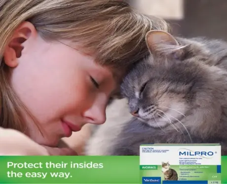 Buy Milpro Cat Deworming Tablets by Virbac – PetMedicine.co