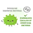 Buy Vivaldis Dewormer 10 Tablets Pack for Pets Online - PetMedicine.co
