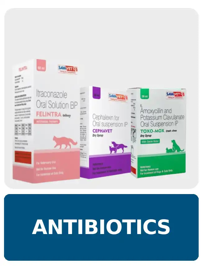 Antibiotics Meds at PetMedicine.co