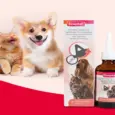 Beaphar Ear Cleaning Solution for Dogs and Cats 50ml – PetMedicine.co
