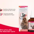 Buy Beaphar Ear Cleaning Solution 50ml for Pet Ear Care – PetMedicine.co