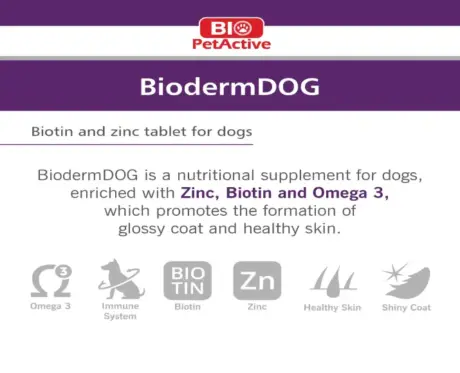 Bio PetActive Bio Derm tablets for dogs skin and coat health – PetMedicine.co