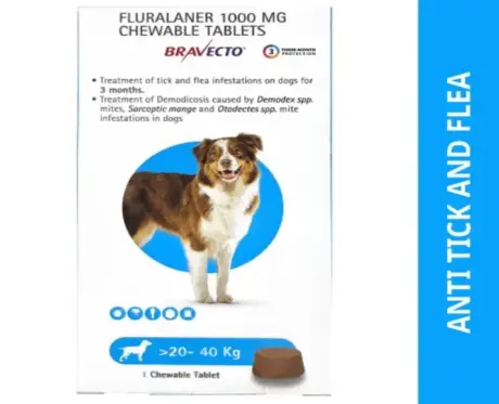 Bravecto 1000 MG tick and flea chewable for dogs 20-40kg – PetMedicine.co