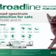 Buy Broadline Spot On for Large Cats online at PetMedicine.co