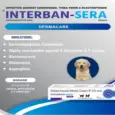 Buy Corise Interban Sera veterinary skin cream 20gm at PetMedicine.co