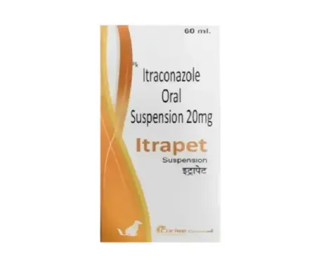 Corise Itrapet Suspension 60ml for Dogs and Cats – PetMedicine.co