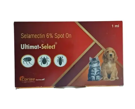 Corise Ultimat Select Spot On for Dogs and Cats 1ml – PetMedicine.co
